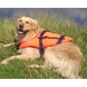 Hund mit orangefarbener Seilflechter Schwimmweste (8-15 kg) im Gras.