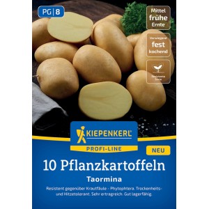 Kiepenkerl Pflanzkartoffel Taormina, 10 St