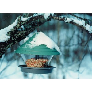 Grünes Vogelfutterhaus Katan mit Futter, hängend im Wintergarten.
