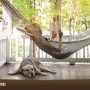 Szene mit Kaindl Laminat Eiche Saloon: Person in Hängematte, Hund auf wasserfestem Laminatboden.