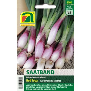 Austrosaat Saatband Bundzwiebel Red Toga: Winterheckenzwiebel mit rotem Schaft.