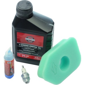 Briggs & Stratton Wartungskit für Rasenmäher: Öl, Zündkerze, Luftfilter, Fuel Fit.