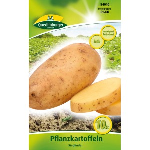 Quedlinburger Pflanzkartoffel Sieglinde, gelbschalig, vorwiegend festkochend.