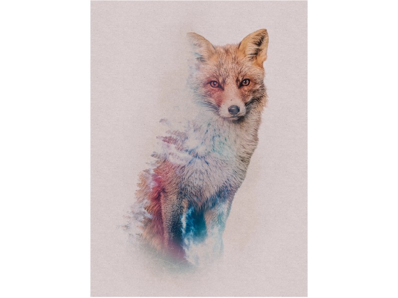 OBI Fox 30 kaufen bei Animals cm 40 x Komar Wandbild