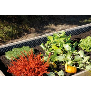 Gutta Noppenfolie im Hochbeet zum Schutz vor Feuchtigkeit und Verrottung.