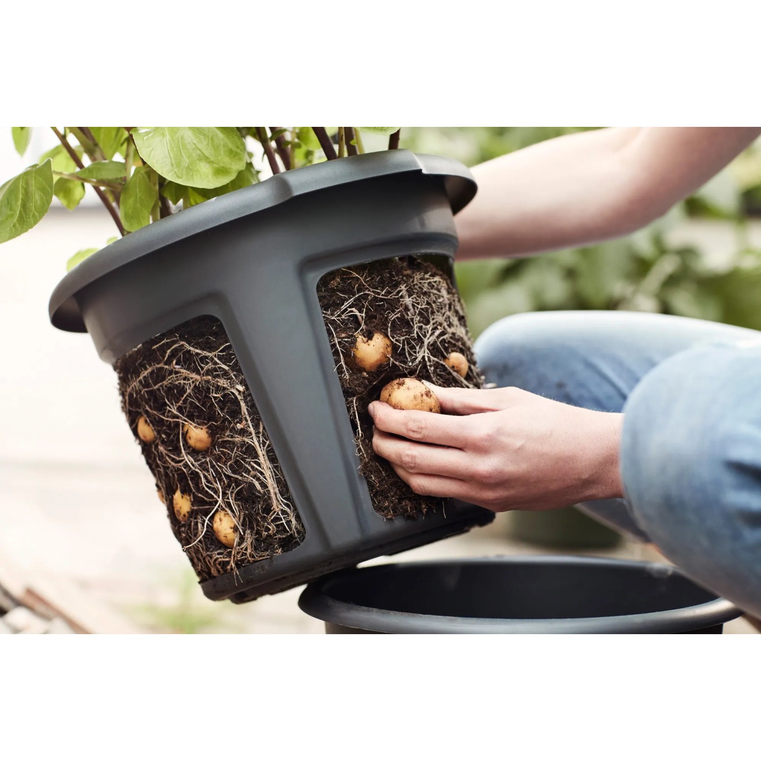 blumenstnder schwarz rund Blumenstnder Zwei Metall Schwarz 70 cm