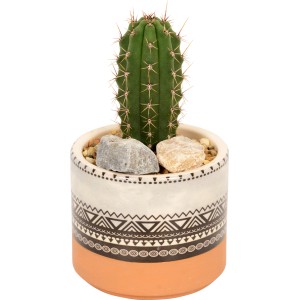 Kaktus im Topf mit Keramik-Gefäß, Ø 8 cm, mit Muster und Steinen dekoriert.