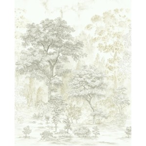 Komar Vliesfototapete Noble Trees, 200x250 cm, mit Waldmotiv in Beige- und Grautönen.