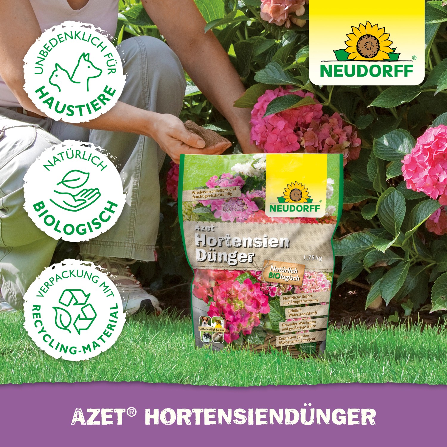 Neudorff Azet Hortensiendünger 1kg: Organischer Dünger für prächtige Hortensien.