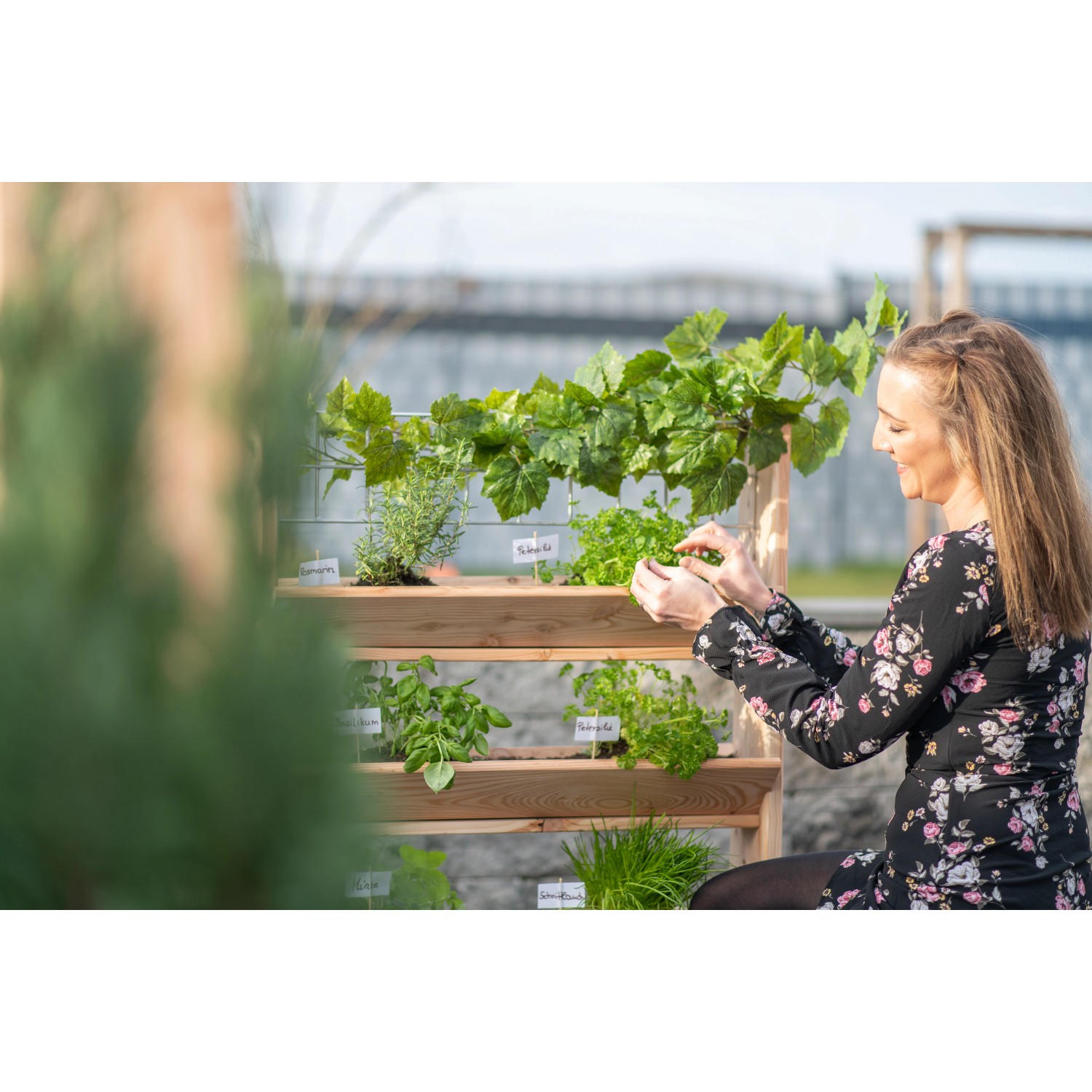 Westmann Kräuterregal Premium mit Rankgitter Größe L bepflanzt mit Kräutern und Frau.