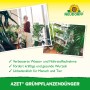 Neudorff Azet Plus Grünpflanzen-Dünger: Frau gießt Pflanzen, Nahaufnahme von Grünpflanzen.