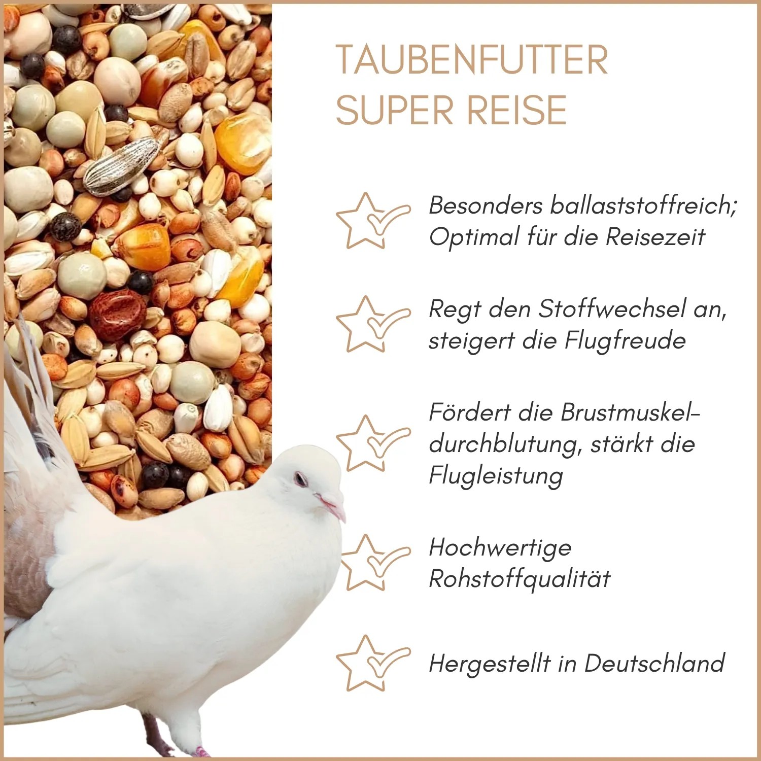 Weiße Taube neben Körnermischung. Supravit Reise Taubenfutter ohne Weizen, für Flugleistung.