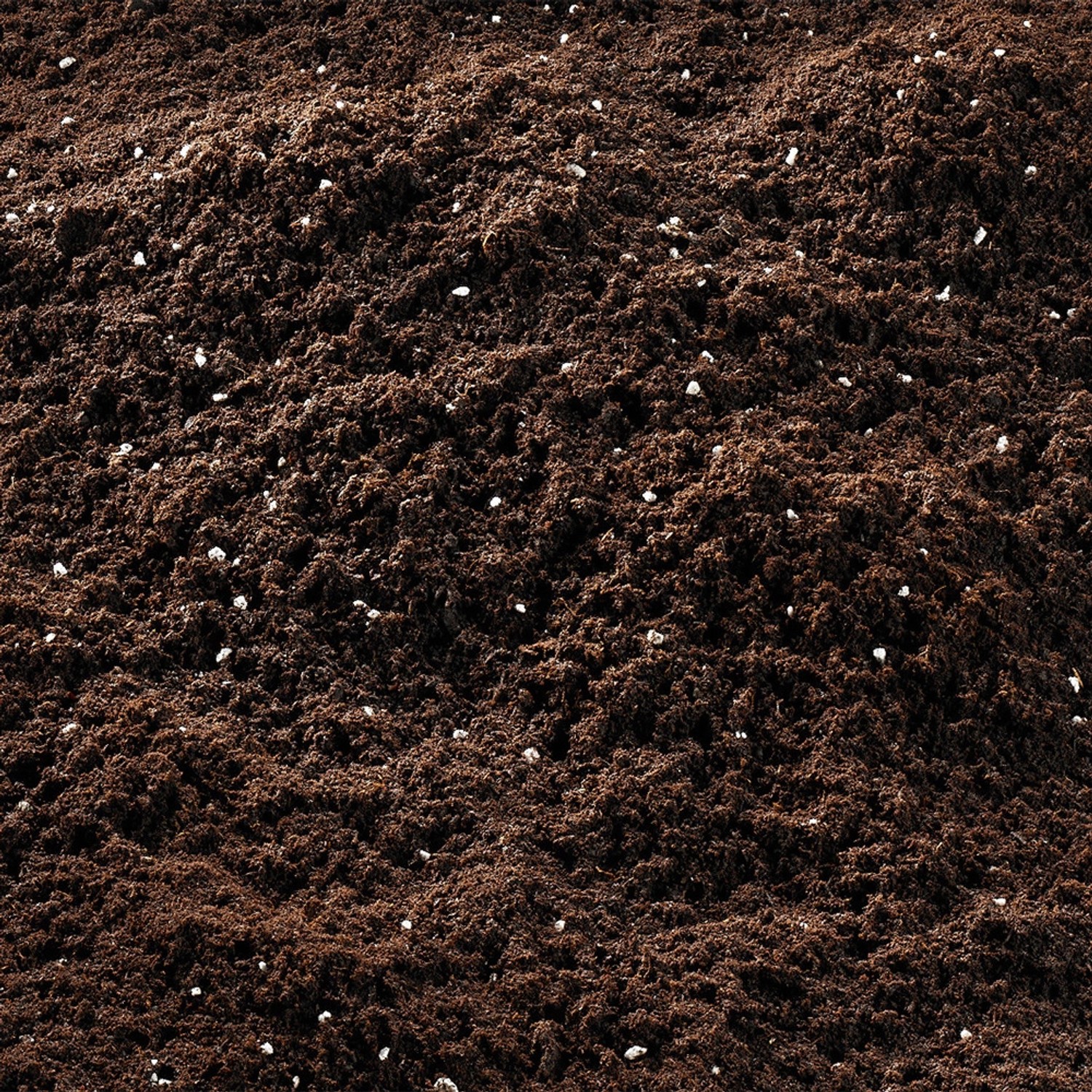 Nahaufnahme: Compo Sana Balkon- und Kübelpflanzenerde mit Perlite.