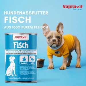 Supravit Hundenassfutter Fisch & Lachs in blauer Dose, daneben ein Französischer Bulldoggen Welpe in gelbem Shirt.