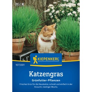 Kiepenkerl Katzengras mit Katze und grünen Gräsern in Töpfen.