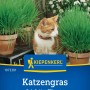 Kiepenkerl Katzengras mit Katze und grünen Gräsern in Töpfen.
