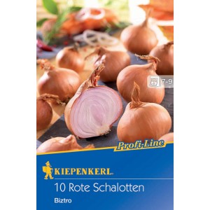 Kiepenkerl Schalotten Biztro, 10 rote Steckzwiebeln, rötlich-braune Schale.