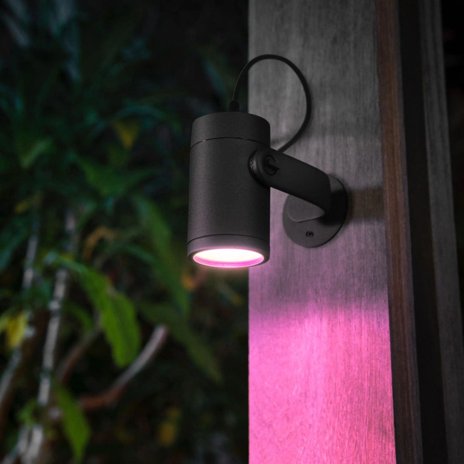 Schwarzer Philips Hue Lily Gartenstrahler leuchtet pink auf Holzpfosten im Dunkeln. Smartes Außenlicht Set.