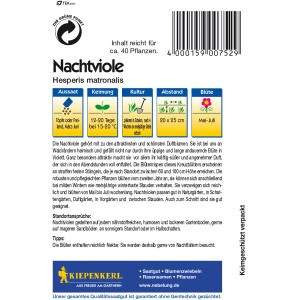 Kiepenkerl Nachtviole Violett Samenpackung, blühende Duftpflanze für Garten & Beet.