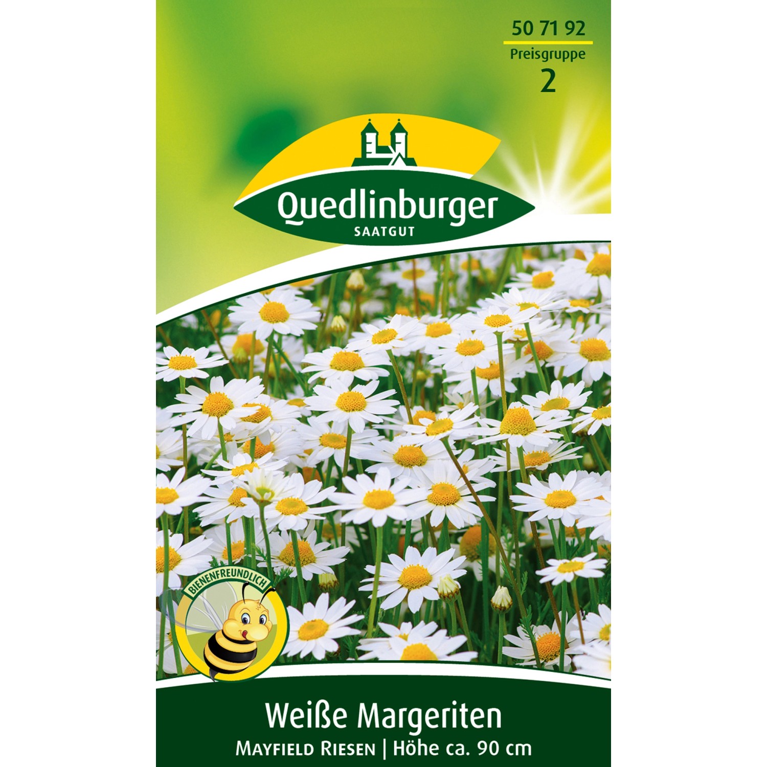 Margerite winterhart kaufen bei OBI