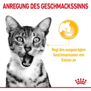 Katze leckt sich das Maul, Royal Canin Sensory Taste Nassfutter für wählerische Katzen.