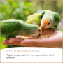 Drei grüne Vögel fressen Supravit Vogelgrit aus einer Hand. Mineralvogelgrit, Ergänzungsfutter & Verdauungshilfe für Vögel.