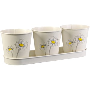 4-teiliges Zink-Eimer-Set mit Blumenprint für Kräuter, inklusive Tablett. Übertöpfe in Creme.