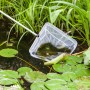 Heissner Teichkescher 35 cm im Einsatz zur Reinigung eines Gartenteichs mit Seerosen.