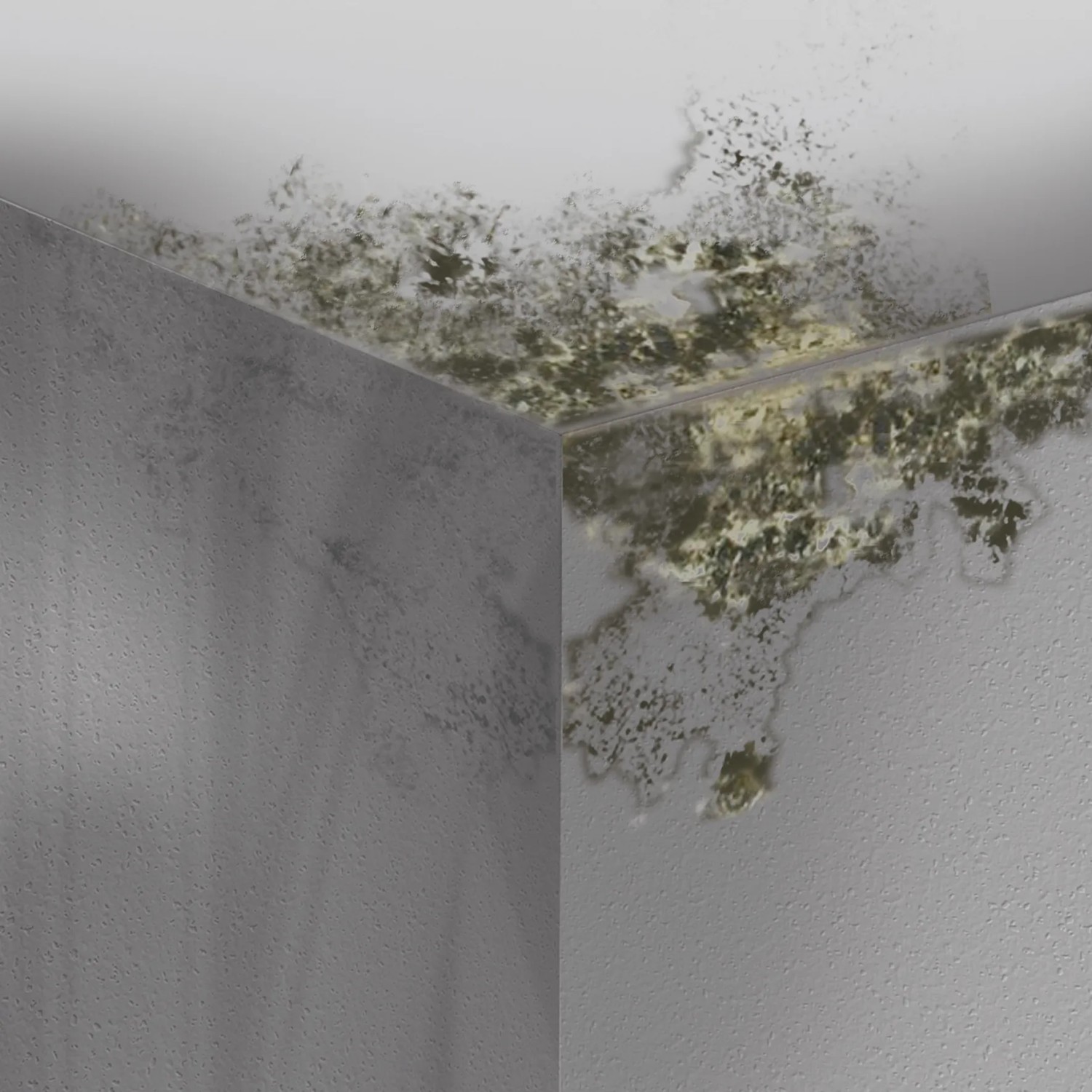 Befallene Ecke mit Schimmel. Anwendung von MEM Schimmel-Entferner zur Beseitigung.