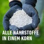Hände mit Gartenhandschuhen halten Compo Rasen-Langzeitdünger Granulat.