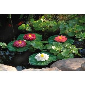 Pontec PondoLily Set 3: Schwimmende Teichdeko, 3 Seerosen in Weiß, Rot und Pink auf grünen Blättern.