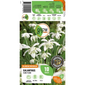 Verpackung GROW by OBI Schneeglöckchen Flore Pleno, weiße Blüten, Blumenzwiebeln für Frühling.