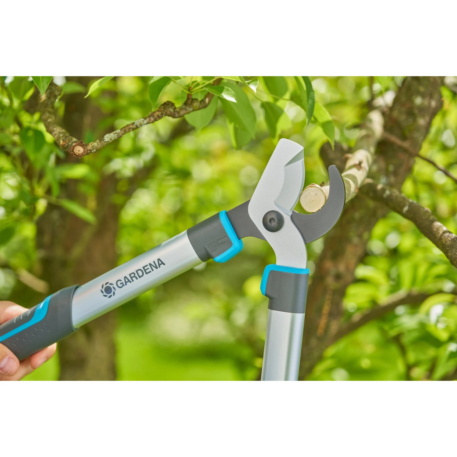 Gardena EasyCut S Astschere in Aktion: Baum schneiden mit Bypass-Schneidprinzip.