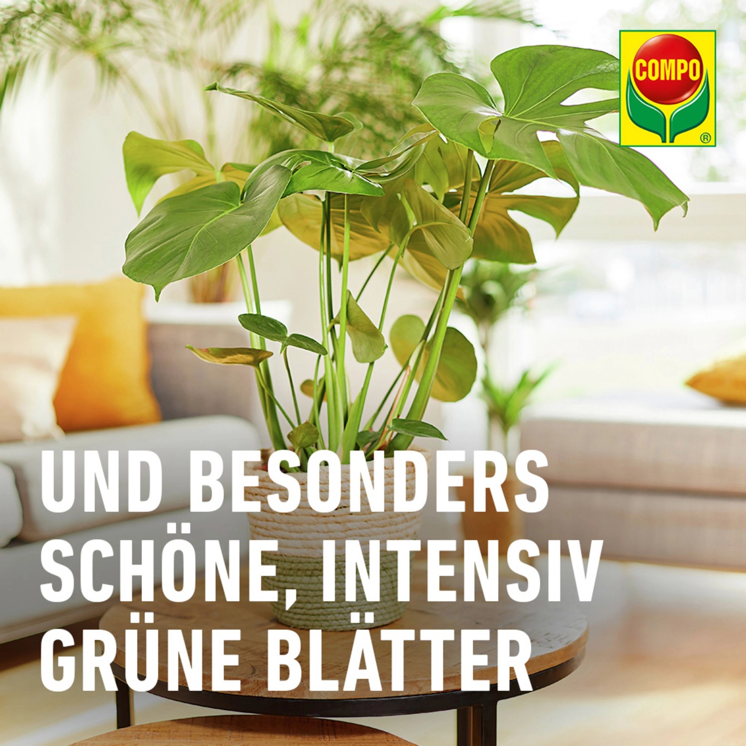 Compo BIO Grünpflanzen- und Palmendünger 500ml_7