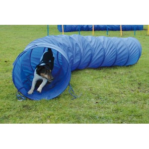 Blauer Agility Tunnel (300 cm) mit Hund beim Durchlaufen. Apportierspielzeug für Hunde.