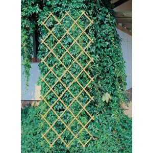 Druckimprägniertes Scherenspalier 100x200 cm als Rankhilfe im Garten.