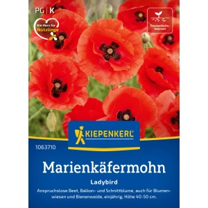 Kiepenkerl Marienkäfermohn Ladybird Saatgut mit roten Blüten und schwarzen Flecken.