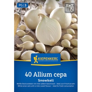 Kiepenkerl Steckzwiebel Snowball, Gr. 12/24