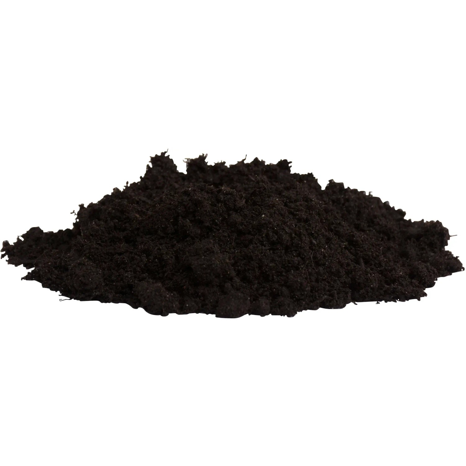 oregano saatgut Oregano/Dost – Ihr Gartenberater