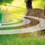 Swissinno Ultraschall-Tiervertreiber Solar im Einsatz gegen Katze im Garten.