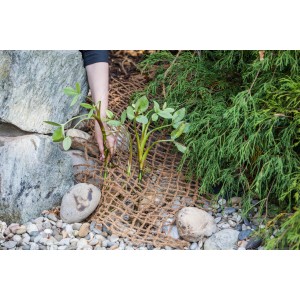 Heissner Anpflanzhilfe und Böschungsmatte aus Kokos, eingesetzt am Teichufer mit Pflanzen.