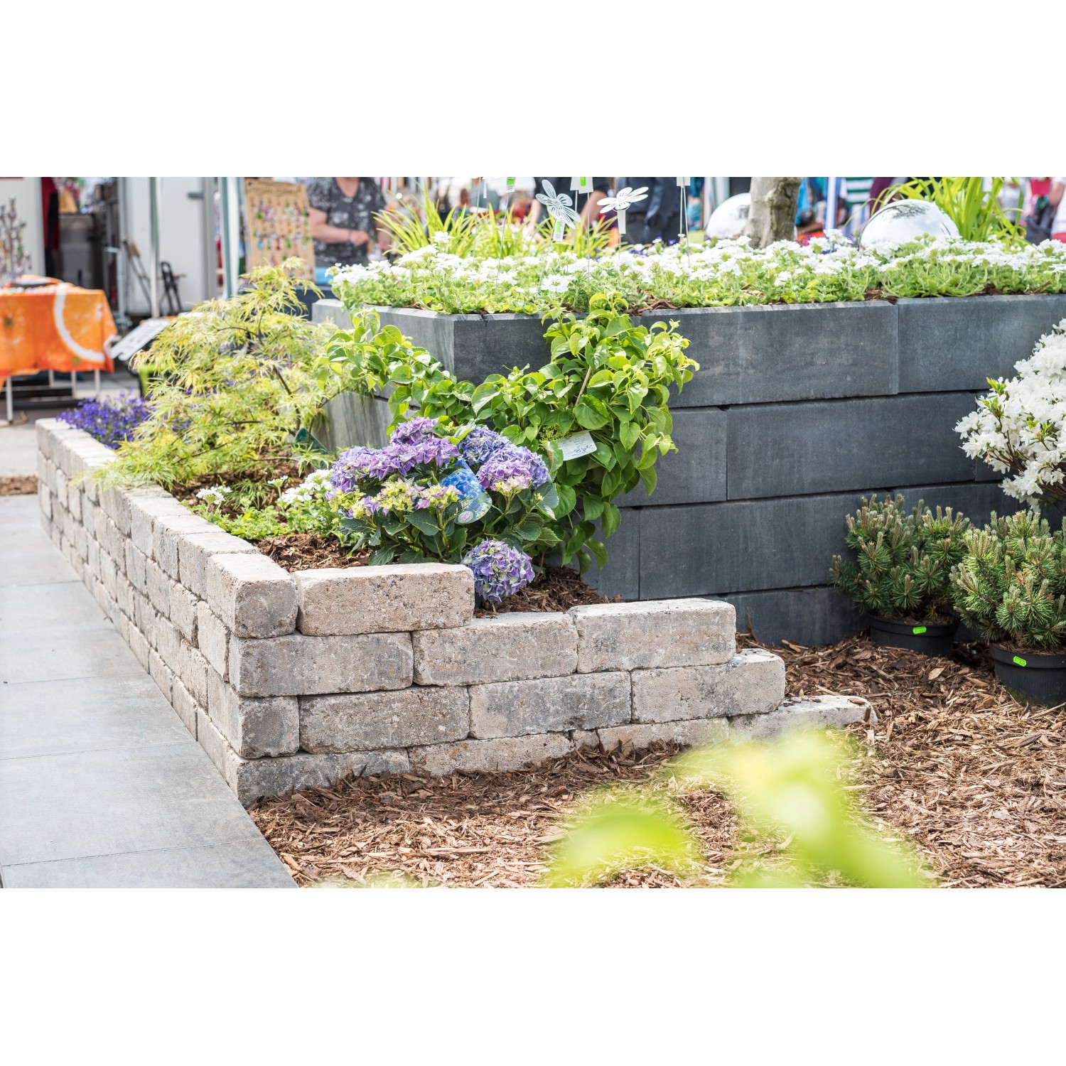 Gestapelte Diephaus Mileo Maxi Mauersteine Quarzit als Gartenmauer mit Bepflanzung.