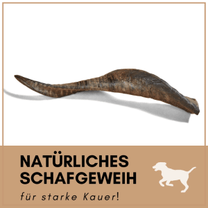 Supravit Schafhorn Größe S Kauspielzeug für Hunde, naturbelassen, dunkelbraun, robust, splitterfrei.