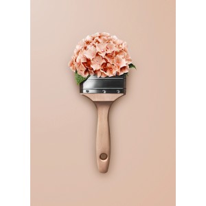 Schöner Wohnen Trendfarbe Hortensie, matte Wandfarbe im Pinsel