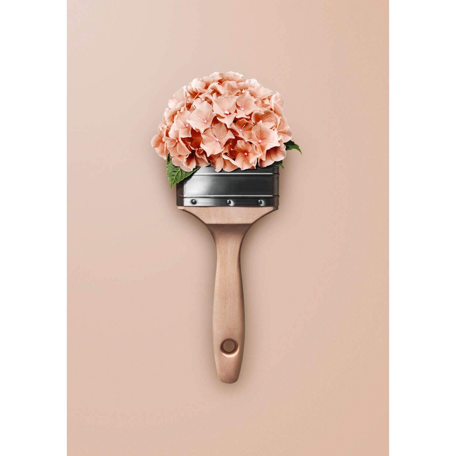 Schöner Wohnen Trendfarbe Hortensie, matte Wandfarbe im Pinsel