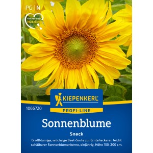 Kiepenkerl Sonnenblume Snack Gelb: Goldgelbe Blüte, idealer Sichtschutz und Snack-Lieferant.