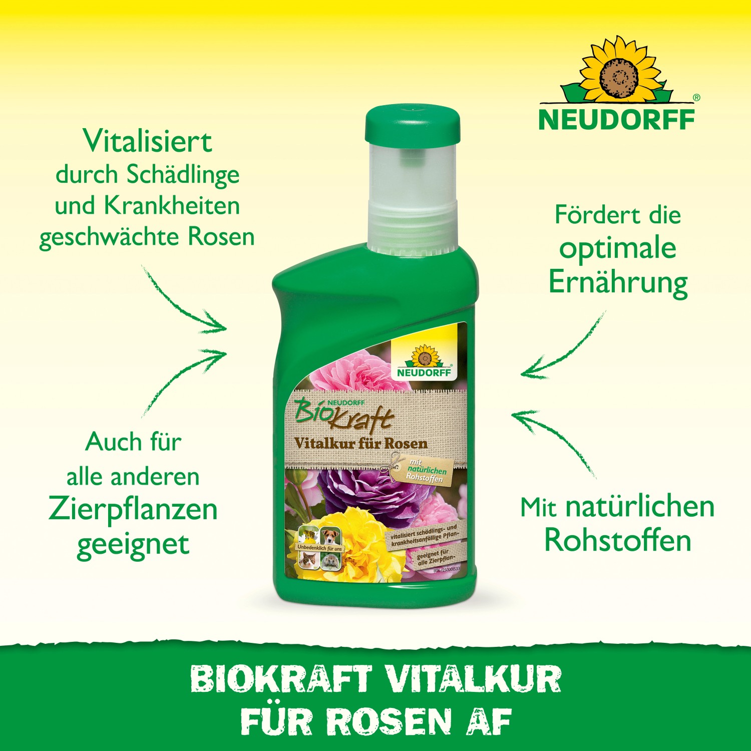 Neudorff BioKraft Vitalkur für Rosen, 300ml Flasche. Pflanzenstärkungsmittel für gesunde Rosen.