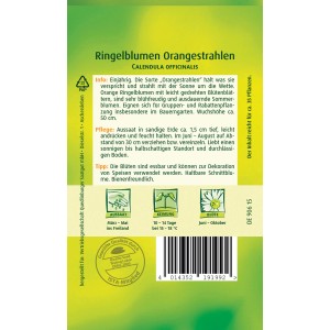 Samentüte Ringelblume 'Orangestrahlen' für farbenfrohe Sommerblumen im Garten.