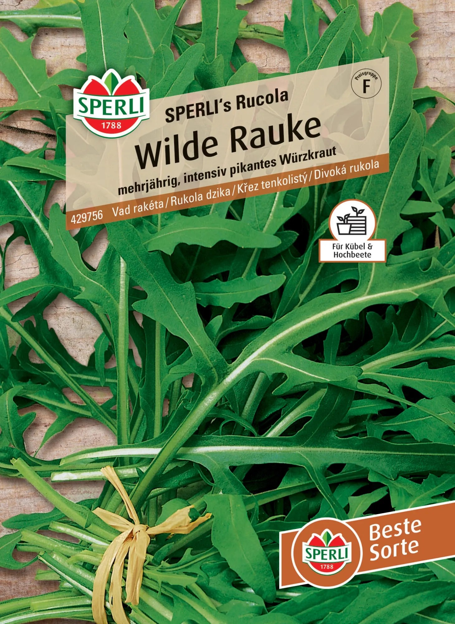 SPERLI Wilde Rauke Saatgut – Intensiv-pikantes Würzkraut Für Die Mediterrane Küche, Mehrjährig, Für Salat & Als Gewürz
