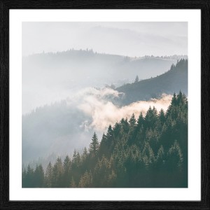 Gerahmtes Bild Anonymus Gloomy Landscape II, 32,5x32,5 cm, mit Waldlandschaft im Nebel.
